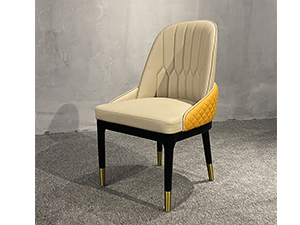 Living Room Modern Furniture Dining Chair