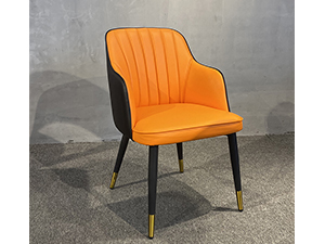 Indoor Home Furniture Dining Chair