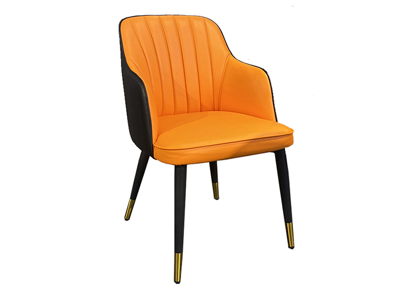 Indoor Home Furniture Dining Chair