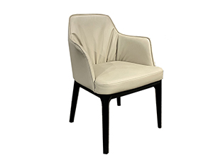 Design Dining Chair Leather Chair