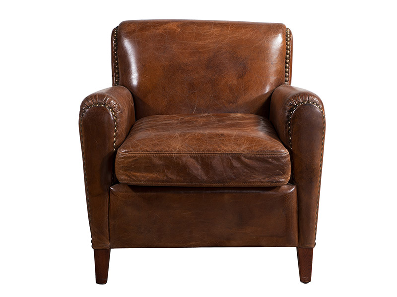 Professoer Leather Armchair