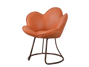 Home Furniture Living Room Leisure Chair