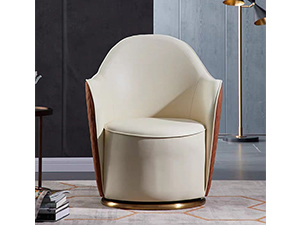 Living Room Leather Leisure Chair