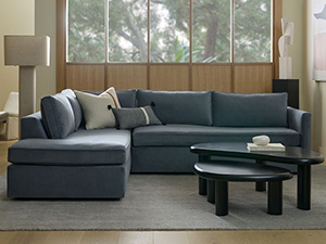 Sectional Couch Sofa Fabic Sofa Living Room Sofa