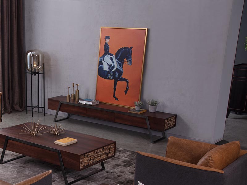 Industrial Wooden TV Stand with Iron Leg