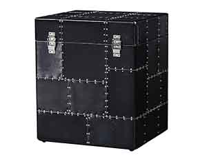 Black Aviator Trunk