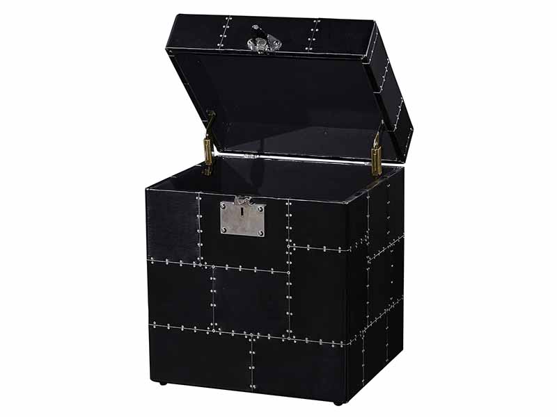 Black Aviator Trunk