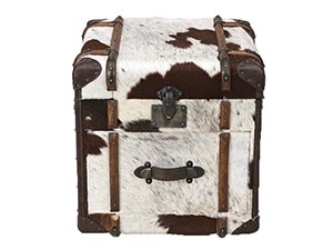 Vintage Pony Sin Leather Trunk